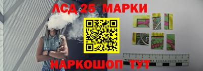 прущие грибы Будённовск