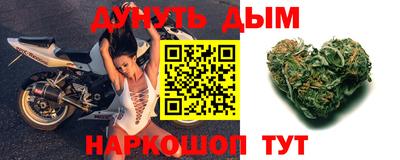 прущие грибы Будённовск