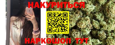прущие грибы Будённовск