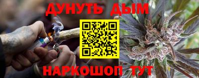 прущие грибы Будённовск