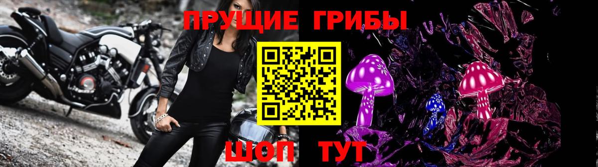 Галлюциногенные грибы Cubensis Темрюк